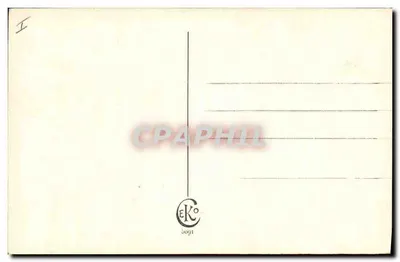 Dois filhotes brancos — um em um cesto de vime, o outro ao lado — editor EKo, n° 3091 — Verso