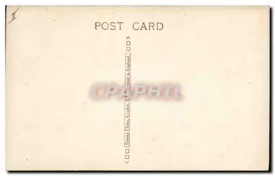 Pies z długim futrem — pozycja na ławce — Rotary Photo, Londyn, nr A.752-9 — Rewers