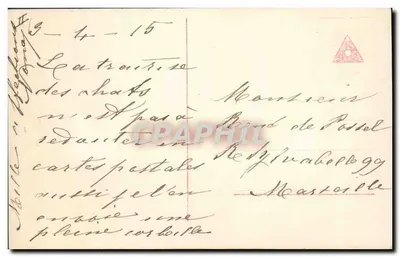 Pięć kotków w koszyku — seria 4470/6 — Fototypia R. (lub R. Fototypia) — nr 4470/6 — Rewers