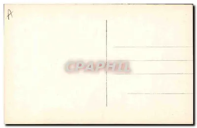 Młody mężczyzna z mopem — żartobliwa kartka pocztowa — wydawca C. K. n° 709 — Rewers