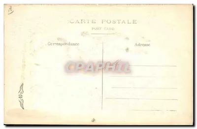 Gato preto e flores — Boa Ano — Carta postal anônima — Verso