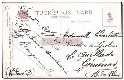 Três filhotes à janela — Tuck's Post Card, série 8853 — editor Tuck & Sons — Verso