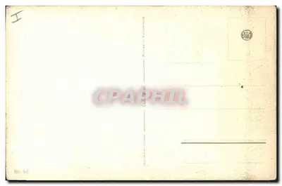 Gato de pelagem longa — retrato — Impresso na Suíça, n° 56 — Verso