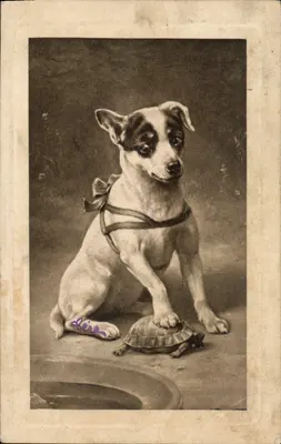 Cachorro com tartaruga — editor Léire, número de série não visível