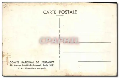 Chamelle e seu filhote — Comitê Nacional da Criança, Paris (VIIIe) — Foto Landau, N° 4 — Verso