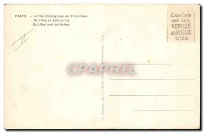 Girafas e avestruz — Jardim Zoológico de Vincennes — A. Lecontré, 18 Rue Sainte-Croix, Paris — Verso