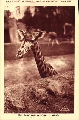 Parque Zoológico — Girafa — Exposição Colonial Internacional de Paris 1934 — Série 278