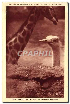 Girafa e Íbice — Exposição Colonial Internacional — Paris 1931