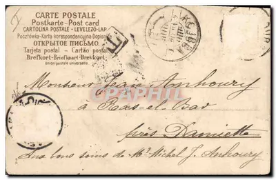 Scène de lapins — animaux dans un décor hivernal — éditeur anonyme — Achterkant