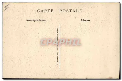 Paris - Jardim das Plantas - Jovem Raposa (2 meses capturado no ato) — Verso