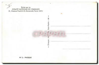 Lew morski — na skałach — Wydane przez Krajowy Komitet Dla Dziecka, nr 2 - PHOQUE — Rewers