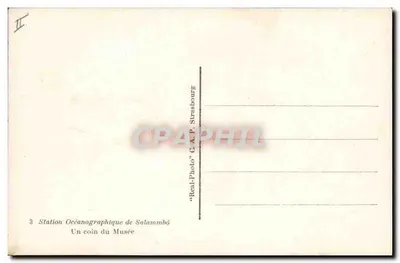 Bilhete postal antigo Estação Oceanográfica de Salammbo — Um canto do museu — Verso