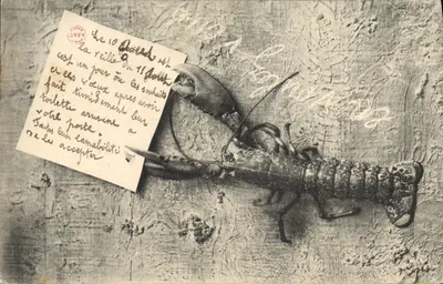 Lobster — detail of a postcard — anonymous publisher, no. II