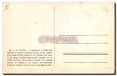 O tatu — Pertence à ordem dos Edantés e habita a América quente — n°40 — Verso