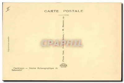 Dwa ryby w akwarium — Carthage — Stacja Oceanograficzna Salammbô — Foto M. Maurer, Toulouse — Rewers