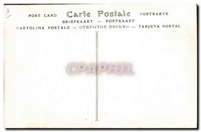 Przywódca Galii — w stroju Orderu Jarretière — W. a. D. Downey, fotograf w Królewskim Sądzie, Londyn — Rewers