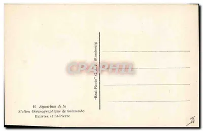 Akwarium w Ośrodku Oceanograficznym Salammbô — Strasbourg — Rewers