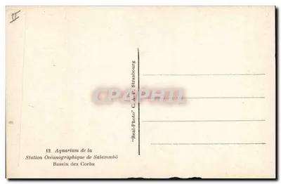 Akwarium — Basen krokodyli — Stacja Oceanograficzna w Salammbô — Rewers