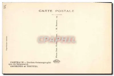Kartagena — Stacja Oceanoograficzna Salammbô — Cienie i żółwie — Rewers