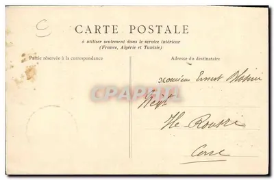 Taureau Durham — offert par S.M. Edouard VII au Président de la République — B.F. Paris — Verso