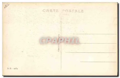Cinco touros — idades de 20 a 60 anos — editor D.D. n° 9689 — Verso