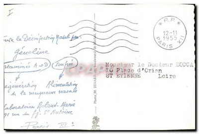 Bœuf à cornes — Cameroun — Postes Cameroun — Verso