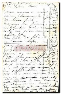 Vacas pastando em uma colina — vista de paisagem — Carta postal — Verso