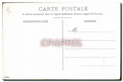Perro y gato — escena de puerta — editor no visible — Reverso