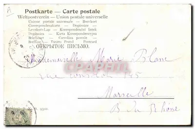Chimpanzé e dois filhotes de gato — cena de vida — editor anônimo, número de série não visível — Verso