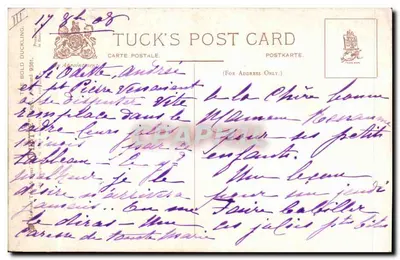 Poussin, filhote de cão e filhote de gato — Tuck's Post Card — n°38 — Verso