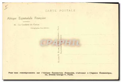 Afrique Équatoriale Française — La Cueillette du Cotton — Photographe René Maresse — Rewers