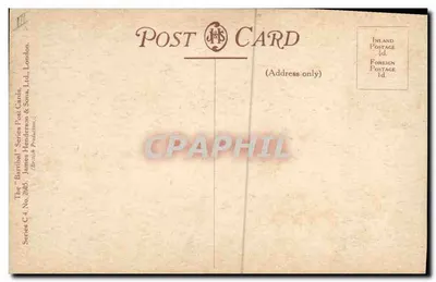 Pretty Polly — Papagaio — Barribal, série C.4, n° 2005 — Verso
