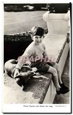 Przyjaciel Charles z Honey, corgiem — Studio fotograficzne Lisa 111