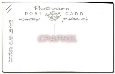 Przyjaciel Charles z Honey, corgiem — Studio fotograficzne Lisa 111 — Rewers