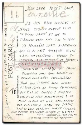 Bilhete postal antigo Cachorro Cachorros Filhote — Verso