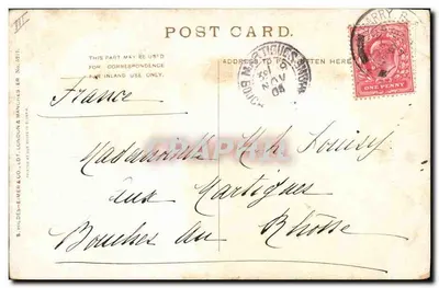 Deux chatons — scène de nourriture — éditeur M. Stocks, n° 211.05 — Verso