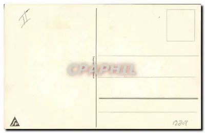 Gatinho com gravata rosa — ilustração — Imprimerie de France, n° 12807 — Verso