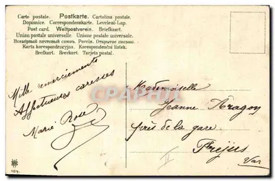 Kocury i szczeniaki — scena zwierzęca — wydawca nieznany, nr serii 104 — Rewers