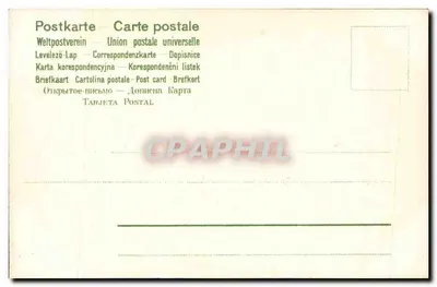 Cupidino con ali — reggendo una lettera 'Ti amo' — sotto una grande fioritura bianca — Verso