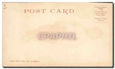 Mammy's Pet — Czarny chłopiec w stroju — Detroit Photographic Co. n°5741 — Rewers