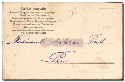 Cartolina d'epoca Chat Chats Chaton — Verso