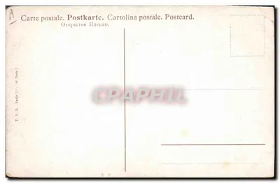 Trois chatons curieux — scène intérieure avec cheminée et porte — éditeur T.S.N. (Série 711) — Reverso
