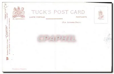 Gatos y cachorro — escena animal — Tuck's Post Card n°157 — Reverso