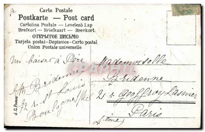 Família em um campo de couve — editor J.C. Paris — Verso