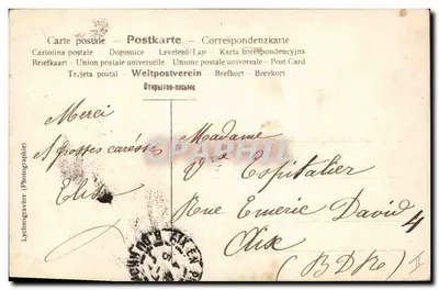 Trzy koty obserwujące ptaka — ilustracja — Lychnographiure (Photogravure) nr 116672 — Rewers