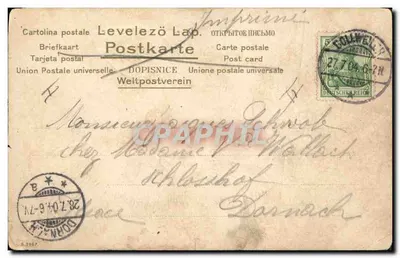 Bilhete postal antigo Gato Gatos Gatinho Borboleta — Verso