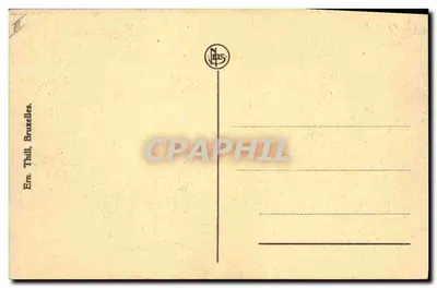 Quatro gatinhos — Liga Internacional Antiviviseccionista — Bruxelas — Verso