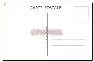 Dwa kotęta w koszyku — C.F.P. Paryż, nr 454 — Rewers