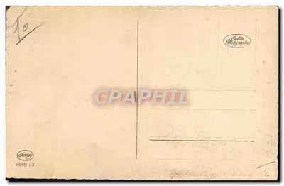 Bilhete postal antigo Cachorro Cachorros Filhote — Verso
