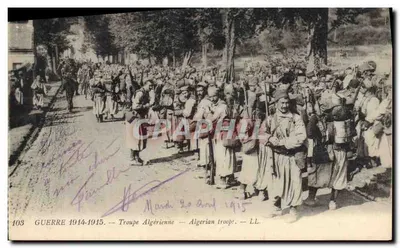 Algerische Truppe — Krieg 1914-1915 — LL. Nr. 103